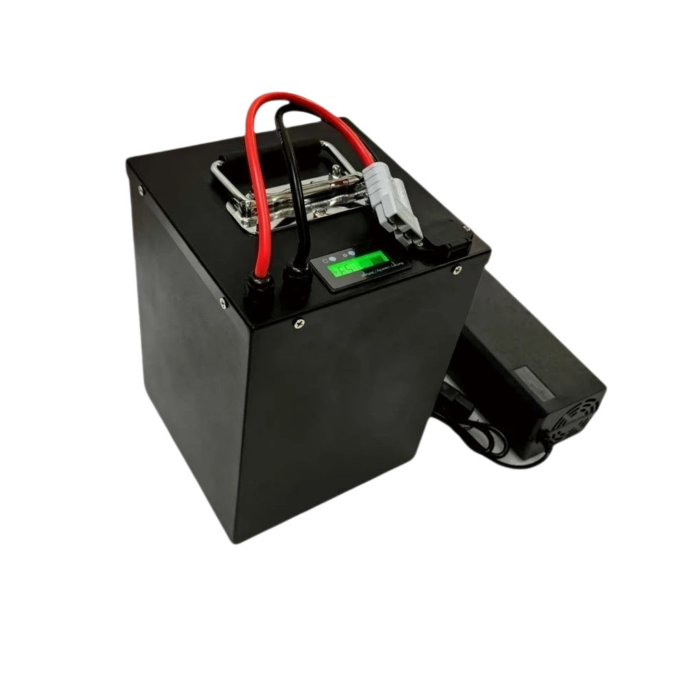 JN- 24S BMS 72V 20Ah 40Ah 60Ah - 72V 60Ah Lifepo4 Battery Pack recensione e prezzo